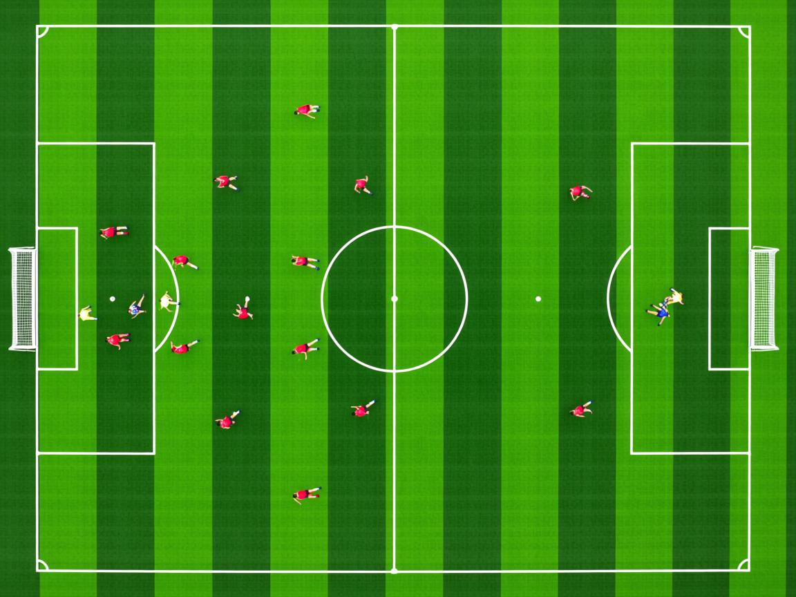 开云体育app注册-CBA球队夏季集训展开 提升体能储备，cba的训练强度有多大  第2张