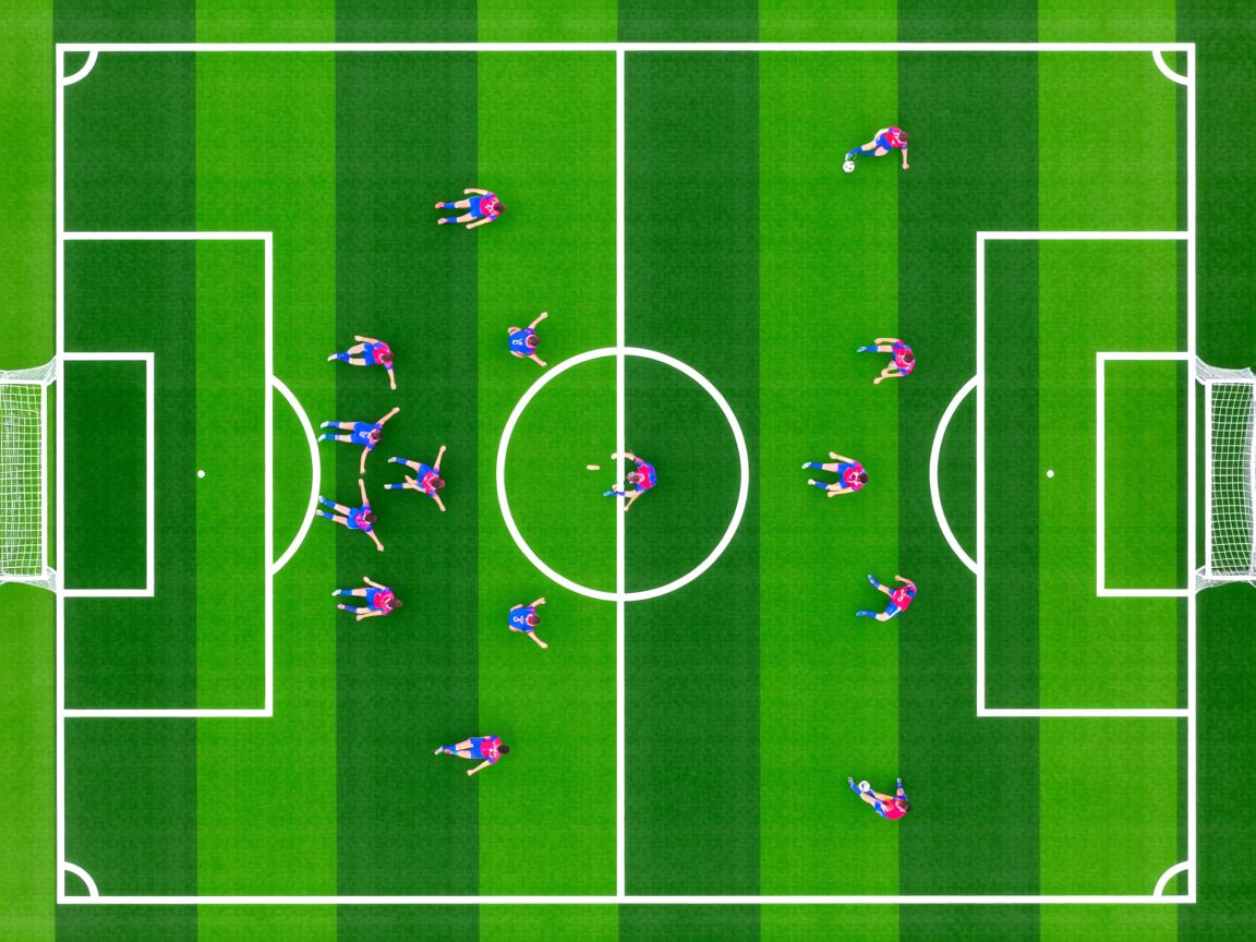 开云体育app注册-CBA球队夏季集训展开 提升体能储备，cba的训练强度有多大  第3张