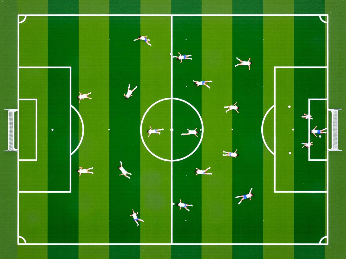 kaiyun网址-CBA球队完善青训培养体系，cba青训队年龄要求  第3张