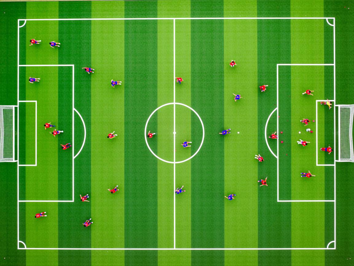 开云体育网站-世界前十蛙泳选手划水效率分析,蛙泳 划水率 第2张