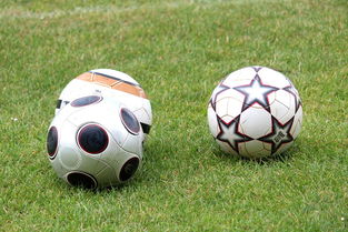 开云体育在线官网-基层足球发展资金紧张，基层足球发展资金紧张的原因